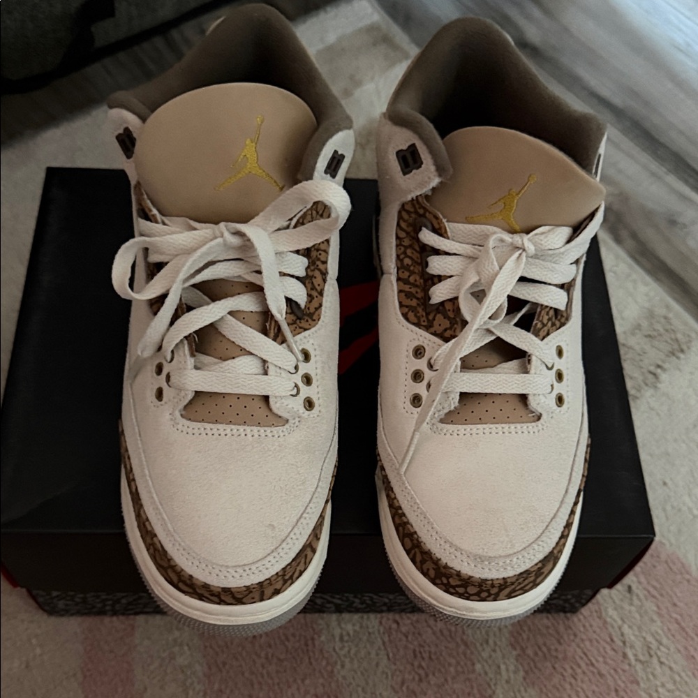 Air Jordan 3 retro